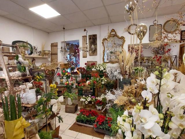 Locale Commerciale in vendita a Marche, Ancona