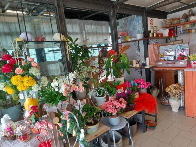 Locale Commerciale in vendita a San Pancrazio, Sorbolo