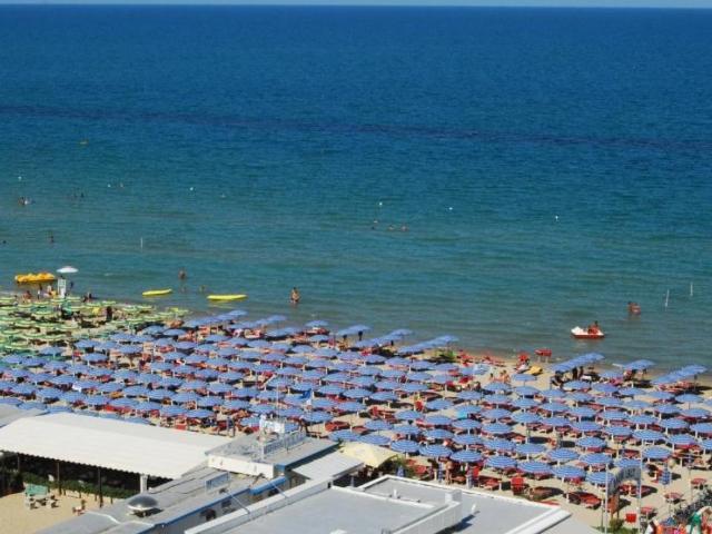 Locale Commerciale in vendita a Centro Storico, Marche