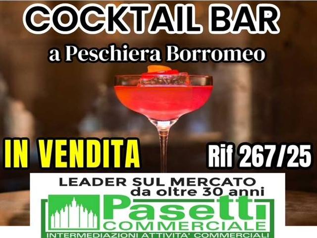 Locale Commerciale in vendita a Mezzate, Peschiera Borromeo