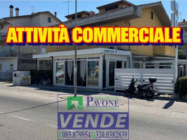 Locale Commerciale in vendita a Quartiere dei poeti, Pineto
