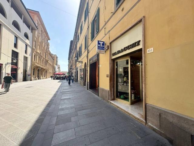Locale Commerciale in vendita a Sant'Antonio, Pisa
