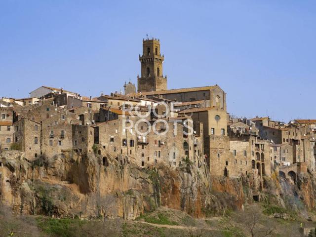 Locale Commerciale in vendita a Unione di Comuni Montani Colline del Fiora, Pitigliano