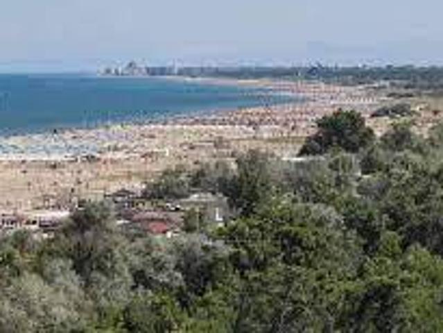 Locale Commerciale in vendita a Lido di Classe, Ravenna