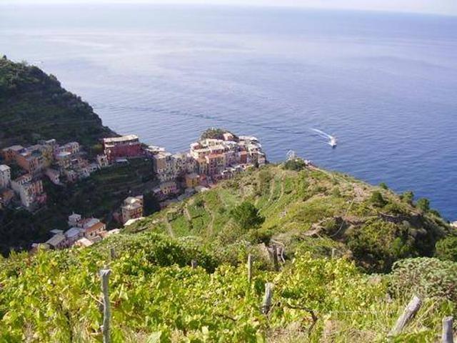 Locale Commerciale in vendita a Riomaggiore, Liguria