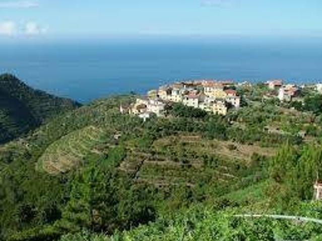 Locale Commerciale in vendita a Riomaggiore, Liguria
