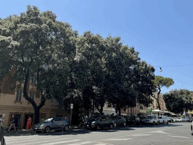 Locale Commerciale in vendita a Municipio Roma I, Roma Capitale
