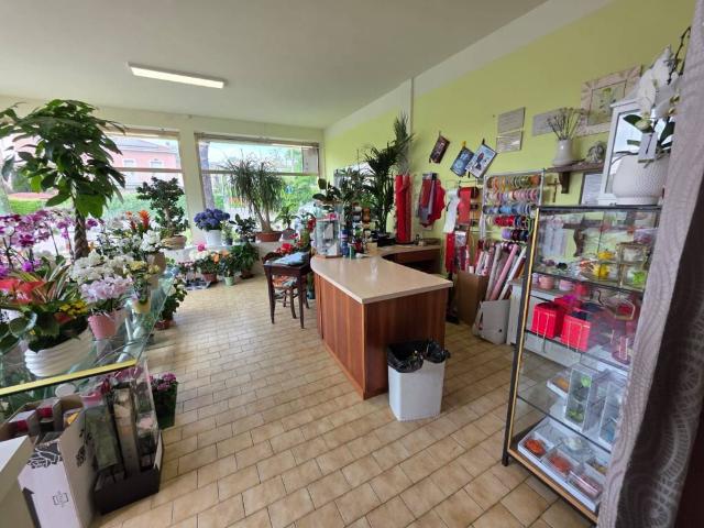 Locale Commerciale in vendita a Salsomaggiore Terme, Reggio Emilia
