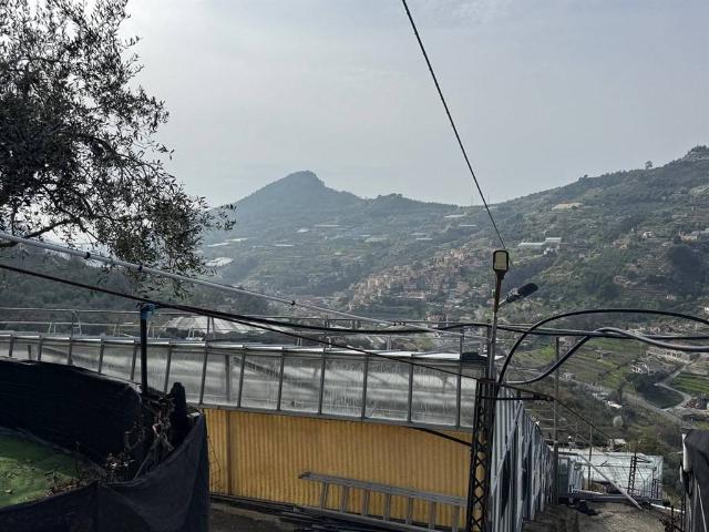 Locale Commerciale in vendita a San Biagio Della Cima, Liguria