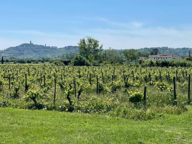 Locale Commerciale in vendita a San Miniato, Toscana