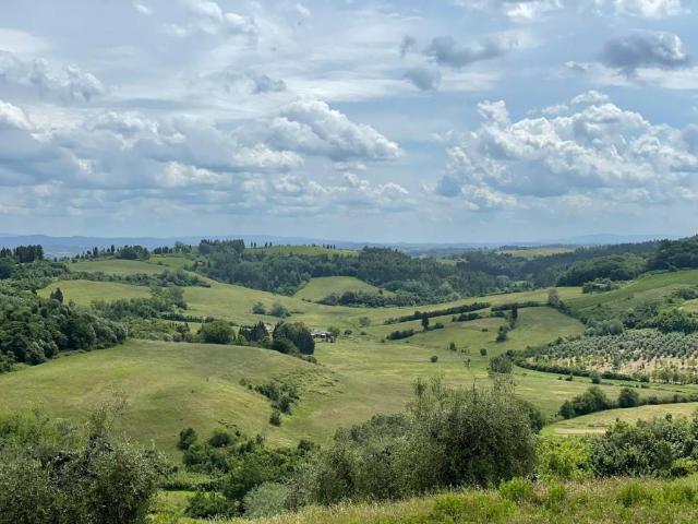 Locale Commerciale in vendita a Calenzano Secondo, San Miniato