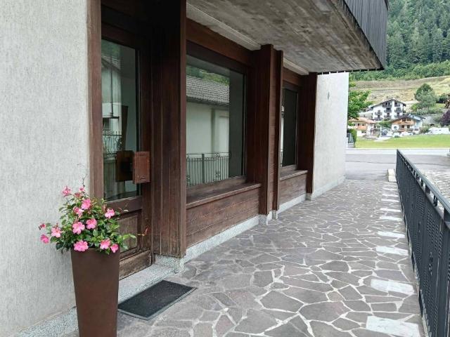 Locale Commerciale in vendita a Comunità delle Giudicarie, Spiazzo Rendena