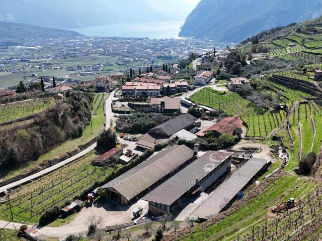 Locale Commerciale in vendita a Comunità Alto Garda e Ledro, Tenno