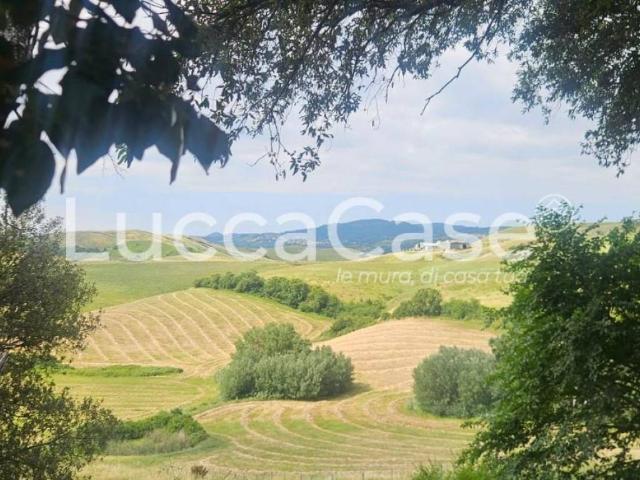 Locale Commerciale in vendita a Terricciola, Toscana