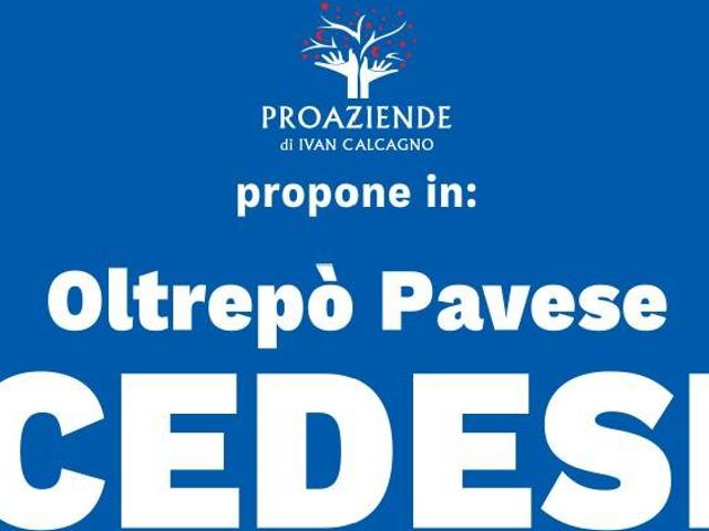 Locale Commerciale in vendita a Capitania, Piemonte