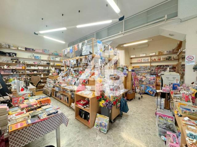 Locale Commerciale in vendita a Città Nuova-Barriera Nuova-San Vito-Città Vecchia, Villa Opicina