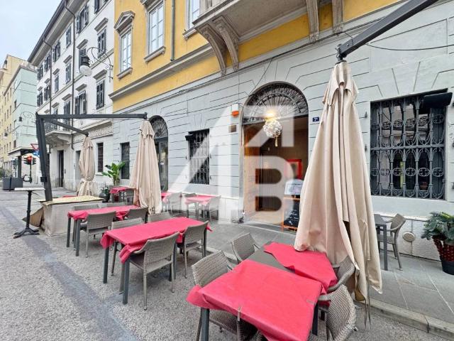 Locale Commerciale in vendita a Città Nuova-Barriera Nuova-San Vito-Città Vecchia, Villa Opicina