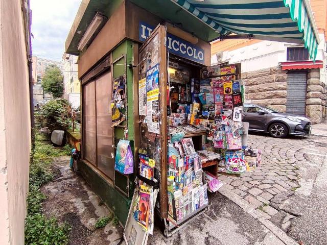 Locale Commerciale in vendita a Barriera Vecchia-San Giacomo, Villa Opicina