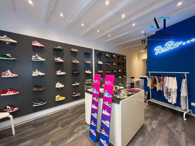Locale Commerciale in vendita a Città Nuova-Barriera Nuova-San Vito-Città Vecchia, Villa Opicina