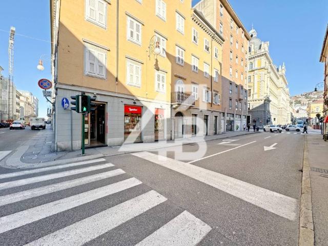 Locale Commerciale in vendita a Città Nuova-Barriera Nuova-San Vito-Città Vecchia, Villa Opicina
