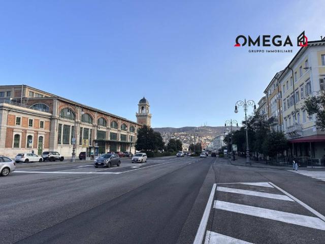 Locale Commerciale in vendita a Città Nuova-Barriera Nuova-San Vito-Città Vecchia, Villa Opicina