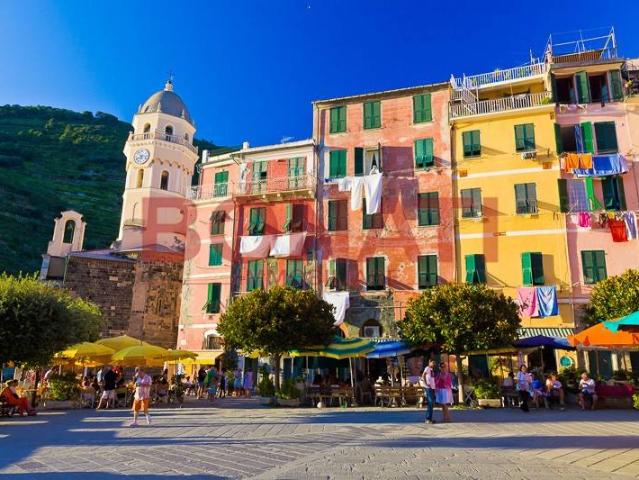 Locale Commerciale in vendita a Vernazza, Liguria