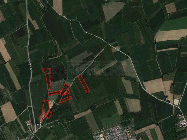 Locale Commerciale in vendita a Visco, Friuli-Venezia Giulia