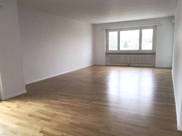 Apartment mieten in Safenwil, Aargau