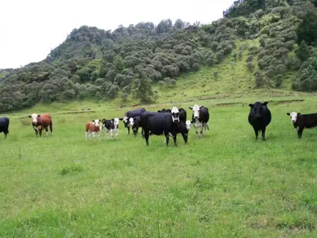 House for rent in Ahititi, Taranaki