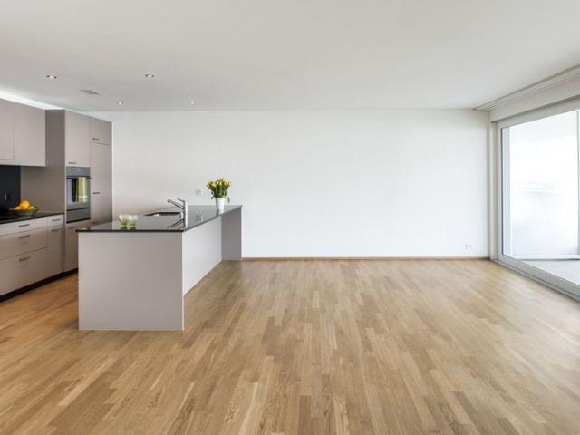 Apartment mieten in Steinach, St. Gallen