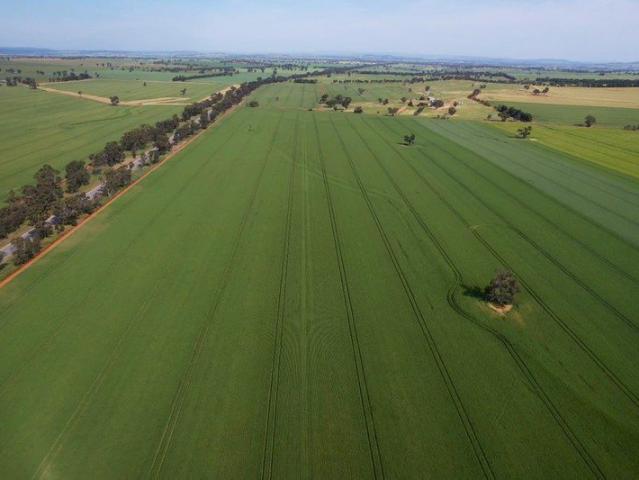 Cottage for sale in Junee Shire Council, New South Wales
