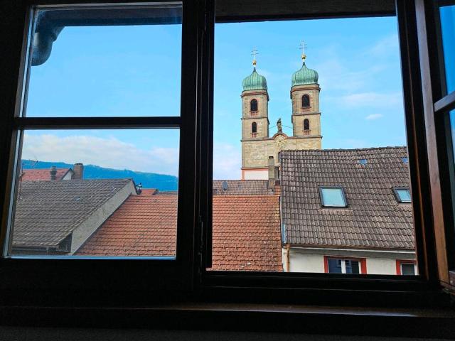 Wohnung kaufen in Säckingen, Bad Säckingen