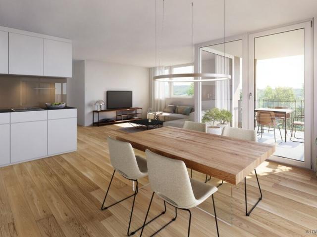 Wohnung kaufen in Zurzach, Aargau