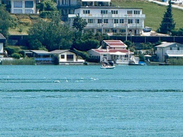Apartment kaufen in Sallach, Pörtschach am Wörther See