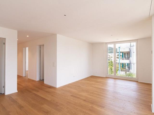Apartment mieten in Bad Zurzach, Zurzach