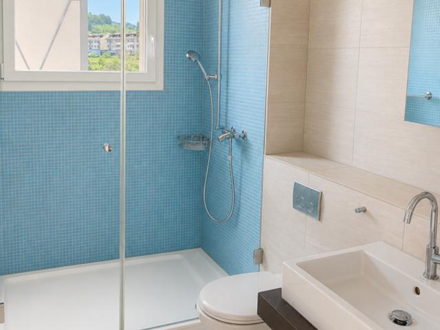 Apartment mieten in Liestal, Basel-Landschaft