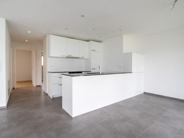 Apartment mieten in Baggwil, Seedorf (BE)