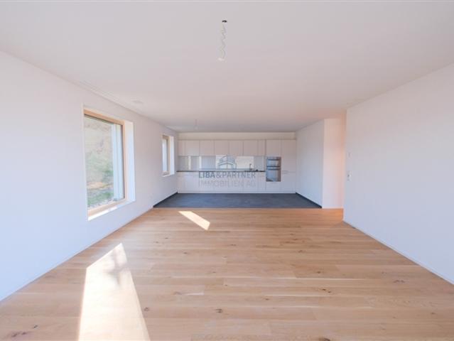 Wohnung kaufen in Stein (AG), Aargau