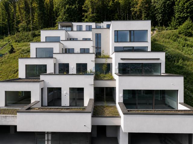 Wohnung kaufen in Stein (AG), Aargau