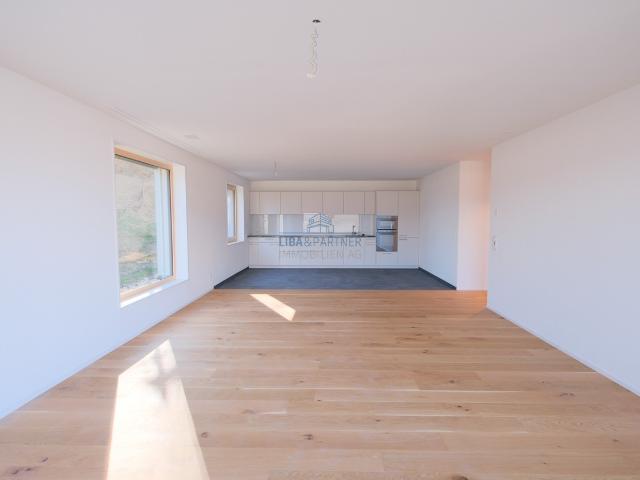 Wohnung kaufen in Stein (AG), Aargau