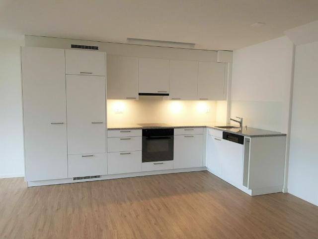 Wohnung mieten in Buchs (SG), Wahlkreis Werdenberg