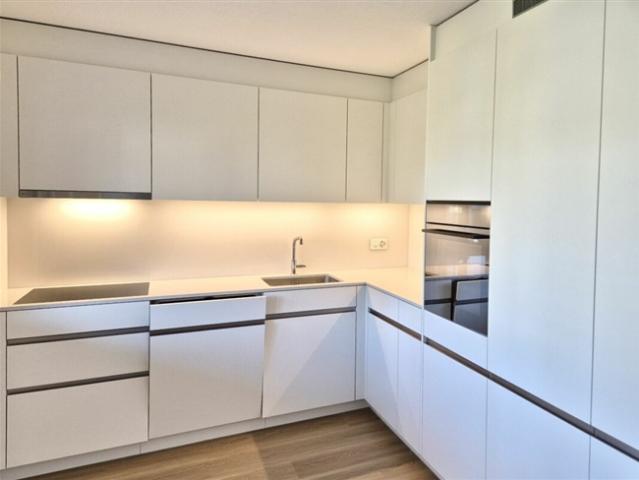 Wohnung mieten in Berikon, Aargau