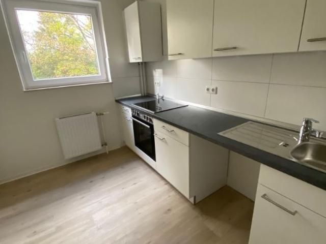Apartment mieten in Albsfelde, Schleswig-Holstein