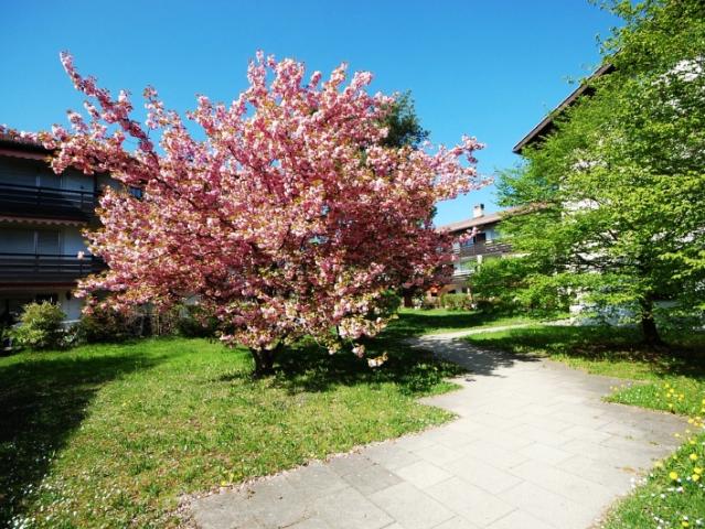 Wohnung kaufen in Bad Tölz, Bayern