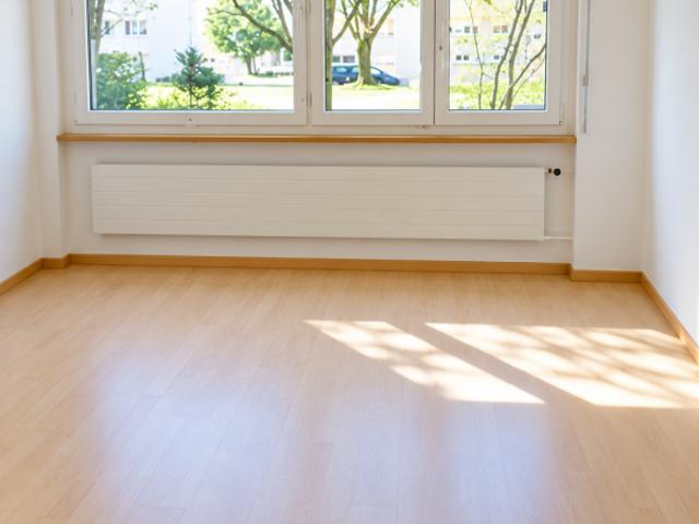 Apartment mieten in Hirzenbach, Zürich