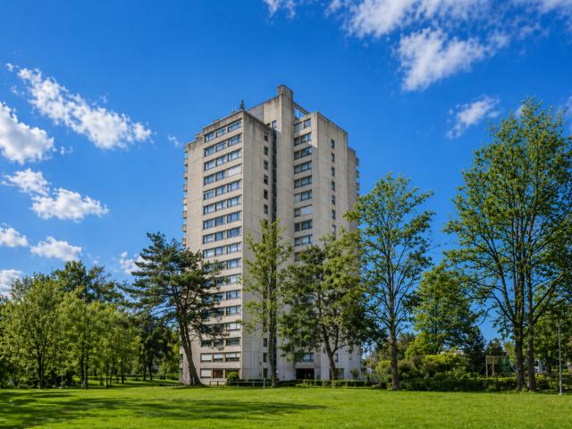 Wohnung kaufen in Wohlen bei Bern, Bern