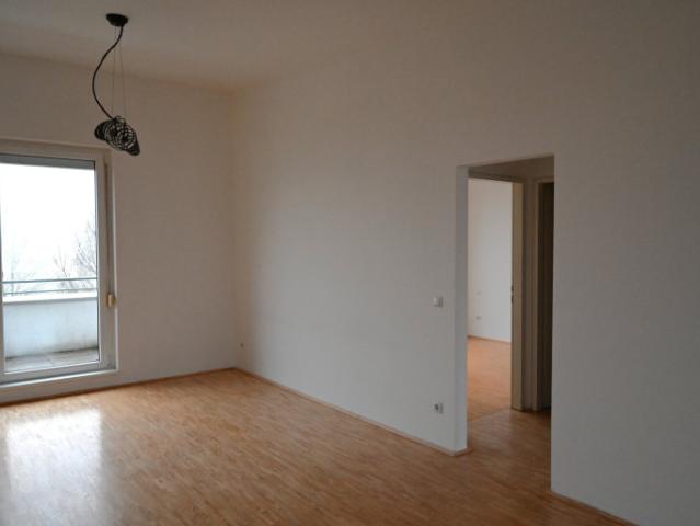 Wohnung kaufen in Hörsching, Oberösterreich