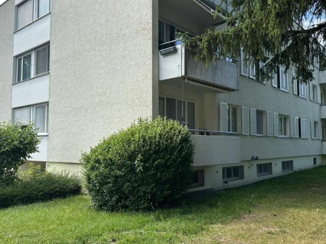 Wohnung mieten in Pfäffikon (SZ), Zürich