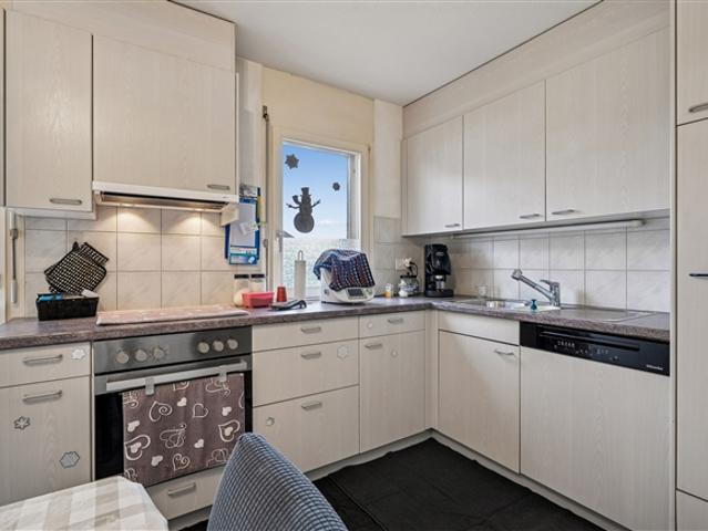 Wohnung kaufen in Hallwil, Aargau