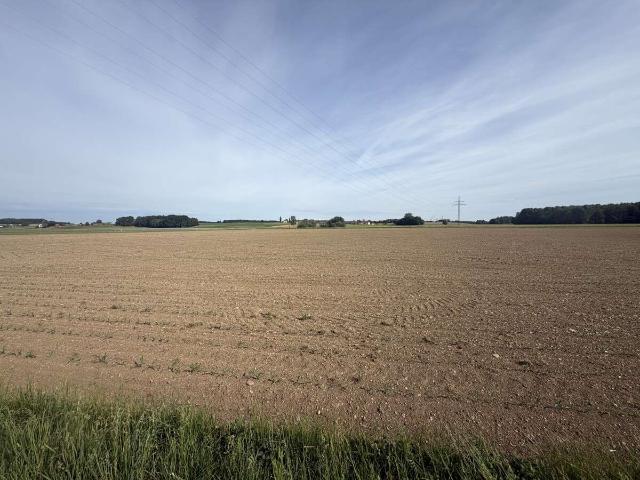Erdgeschosswohnung kaufen in Palling, Landkreis Traunstein